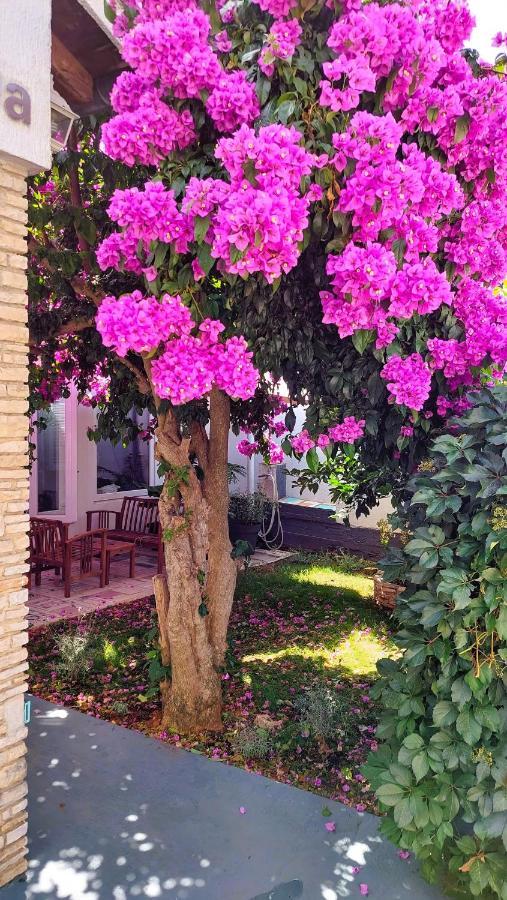 Holiday Home Zora - Family Vacation House Near Protected Area Of The Nature Park Kamenjak, With Green Yard, Wifi, Air-Con Premantura Exterior foto